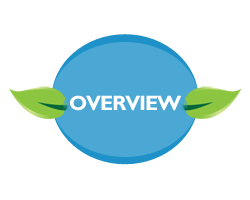 Overview